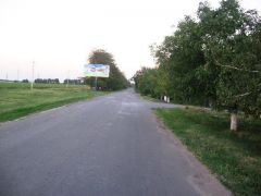61Б