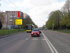 Lv1954